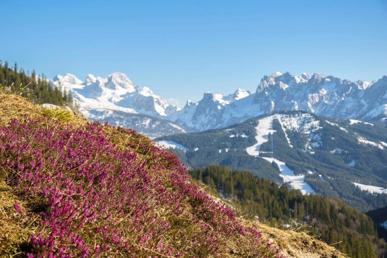 Hotel Gaestehaus Saegemuehle Rußbach am Paß Gschütt Zewnętrze zdjęcie