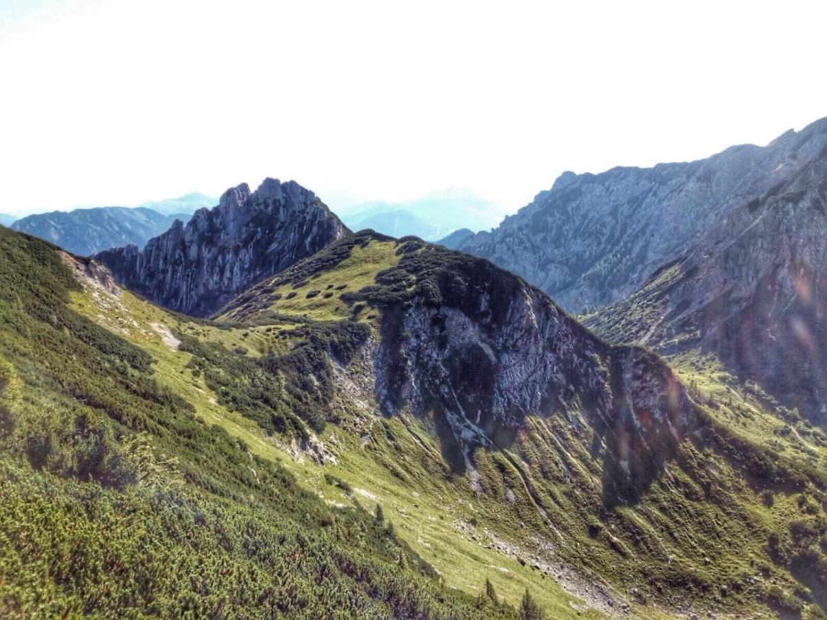 Hotel Gaestehaus Saegemuehle Rußbach am Paß Gschütt Zewnętrze zdjęcie