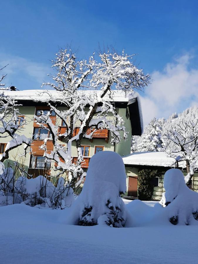 Hotel Gaestehaus Saegemuehle Rußbach am Paß Gschütt Zewnętrze zdjęcie