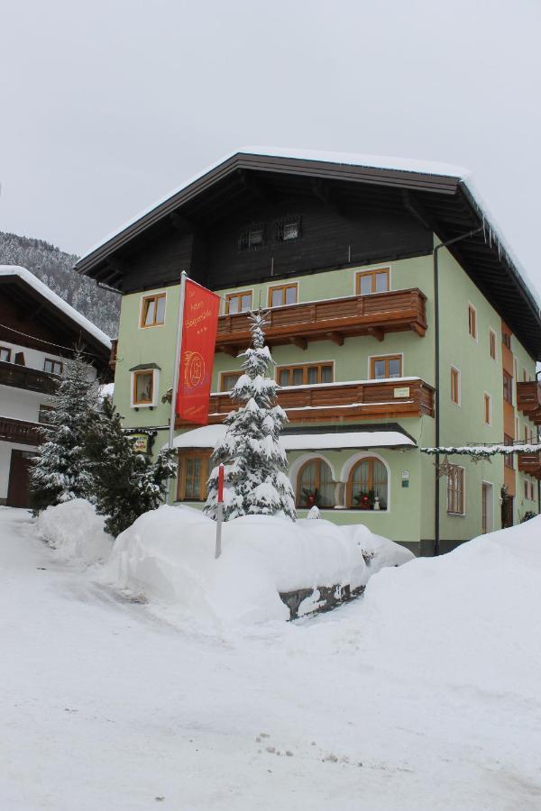 Hotel Gaestehaus Saegemuehle Rußbach am Paß Gschütt Zewnętrze zdjęcie